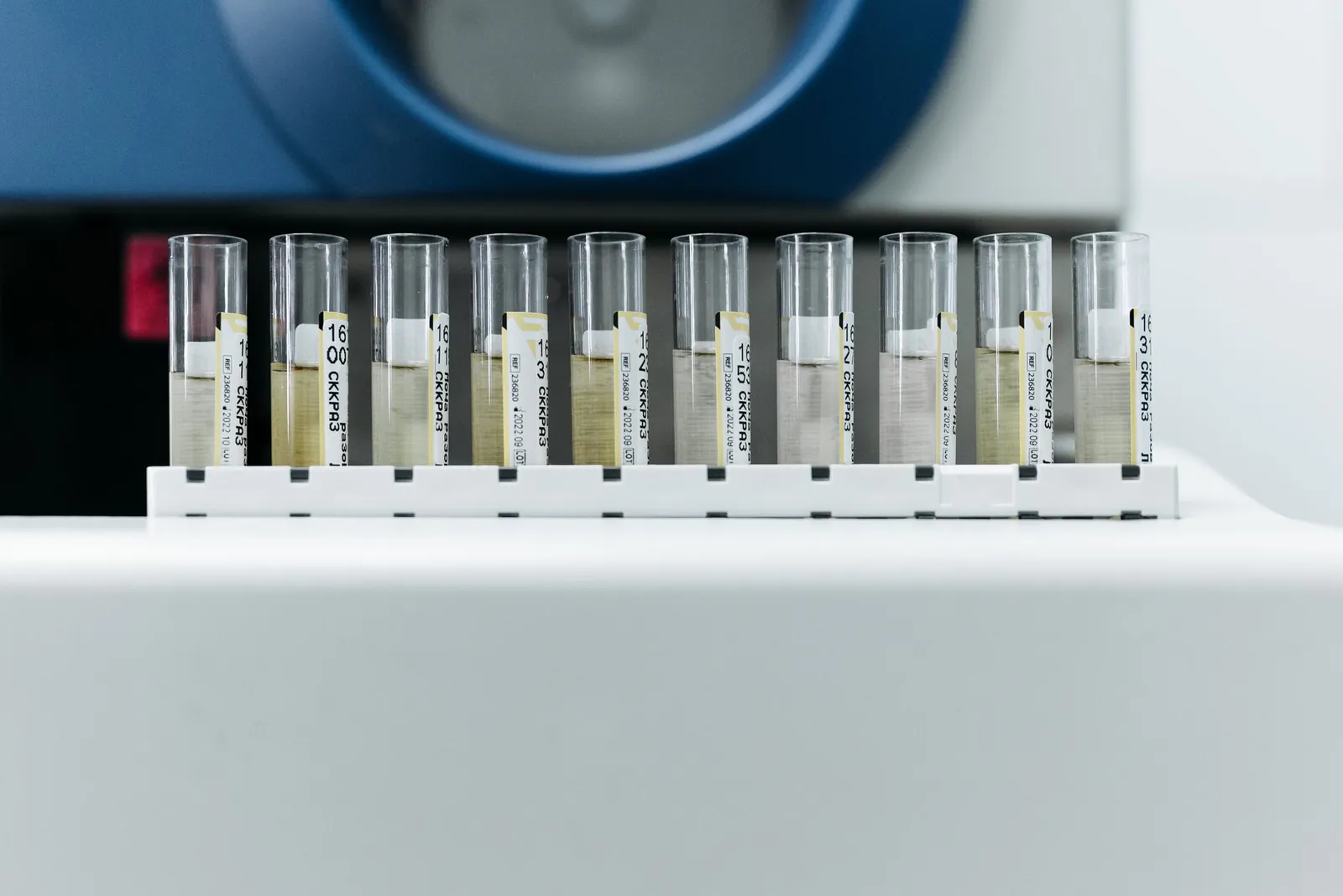 Échantillons en éprouvettes préparés pour des essais de laboratoire