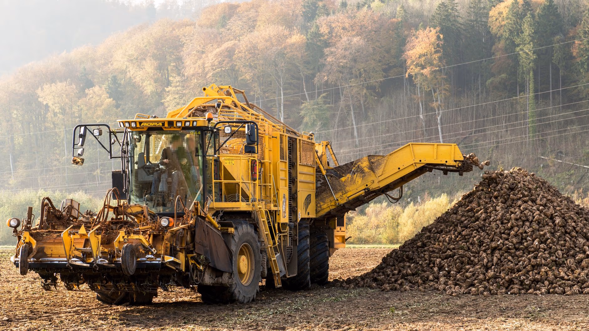 Yellow harvesting machine unloading its load by conveyor at the edge of a forest