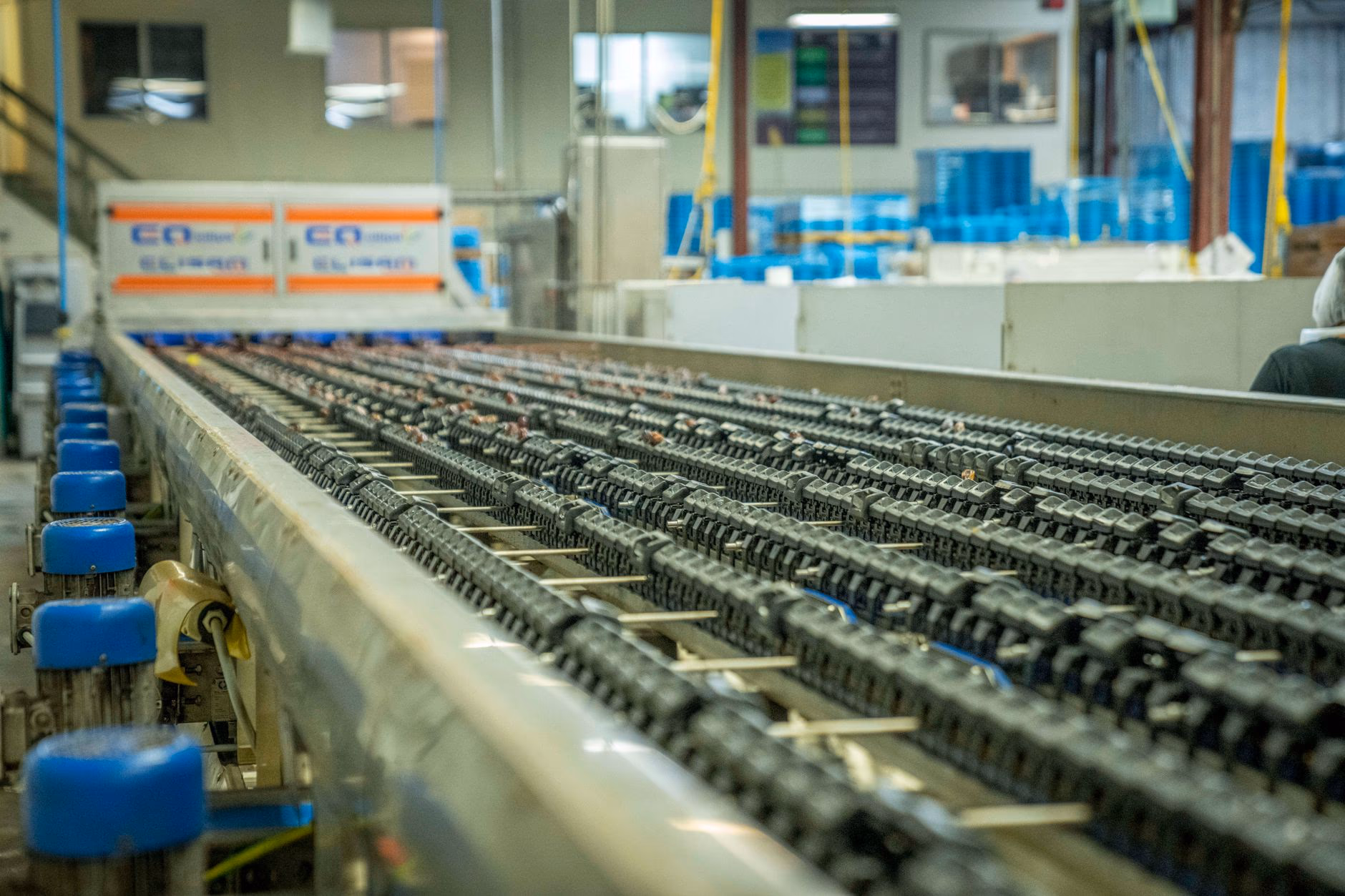 Industrial chain conveyor line in a processing plant